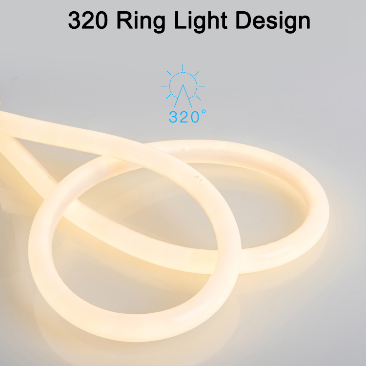 AC110/220V 2835SMD Super Brightness 144LEDs/M Dimater 15mm Single Color 360 Degrees Round lighting Outdoor Waterproof Flexible LED Neon Tube Light Kit